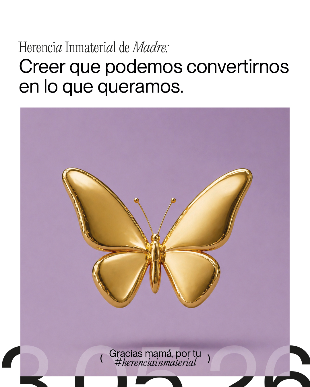 03_PAPALLONA